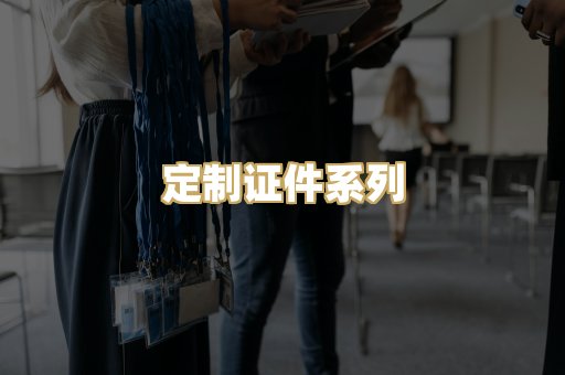 定制证件系列
