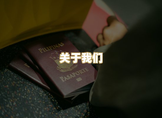 关于我们